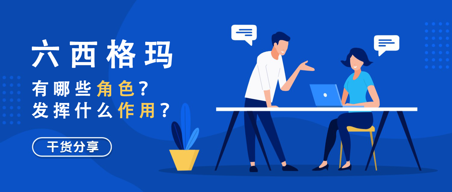 六西格玛系列知识之五：六西格玛的角色与作用