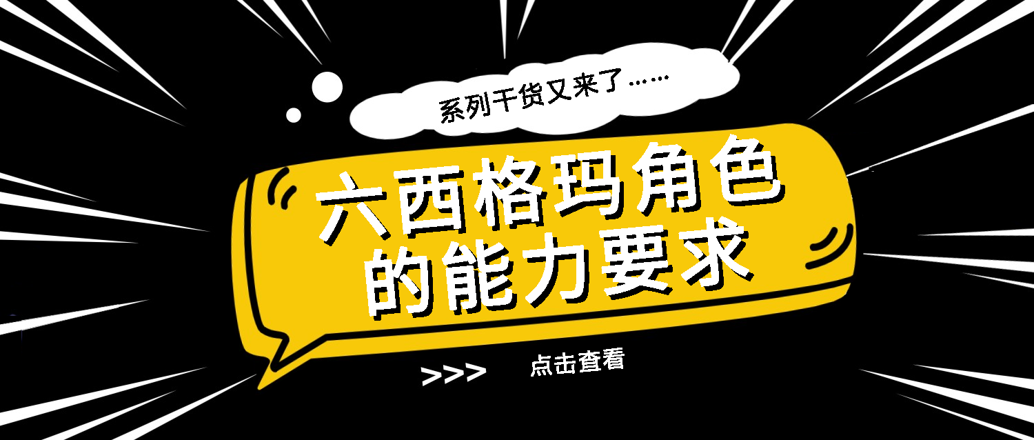 六西格玛系列知识之六：六西格玛角色的能力要求